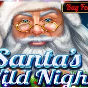 Santa's Wild Night