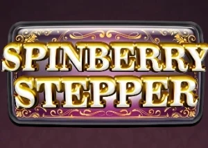 Spinberry Stepper