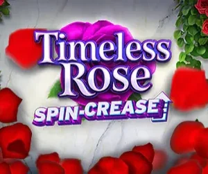 Timeless Rose