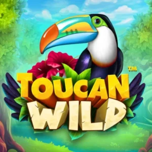 Toucan Wild