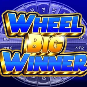 Wheel Big Winner