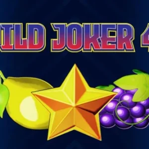 Wild Joker 40