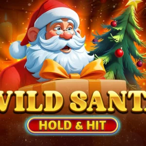 Wild Santa - Hold & Hit