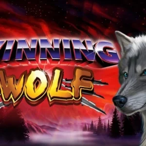 Winning Wolf