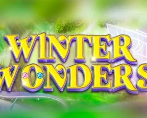 Winter Wonders