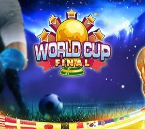 World Cup Final