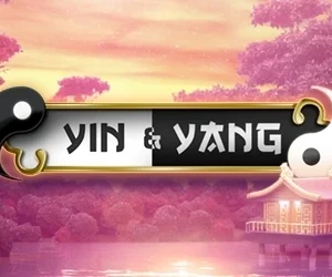 Yin & Yang